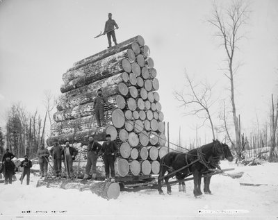Registrazione di un Grande Carico, Michigan da Detroit Publishing Co.
